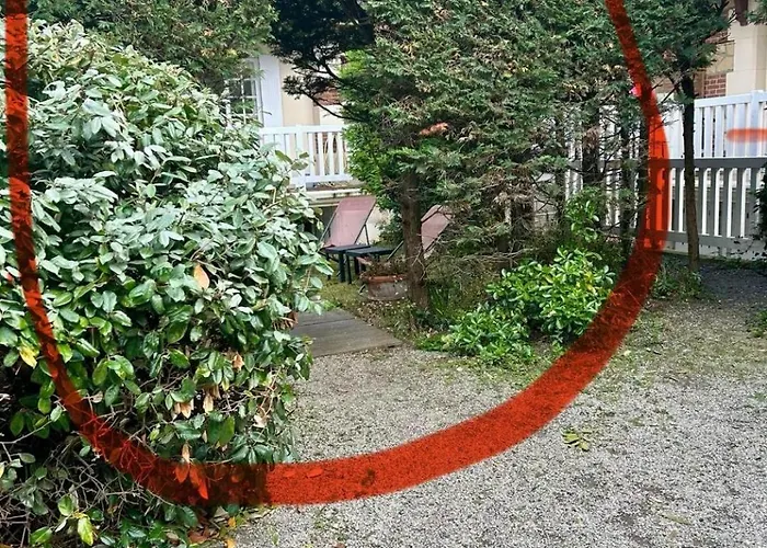 Petit Souplex Dans L'hypercentre De 80 M De La à Pied Cabourg